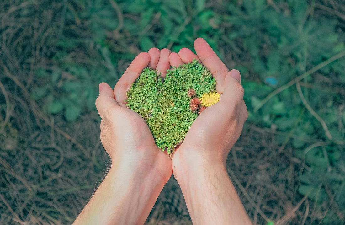 a person holding grass which is heart shaoed in the hands