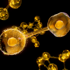 Close-up of molecular structures with a black background